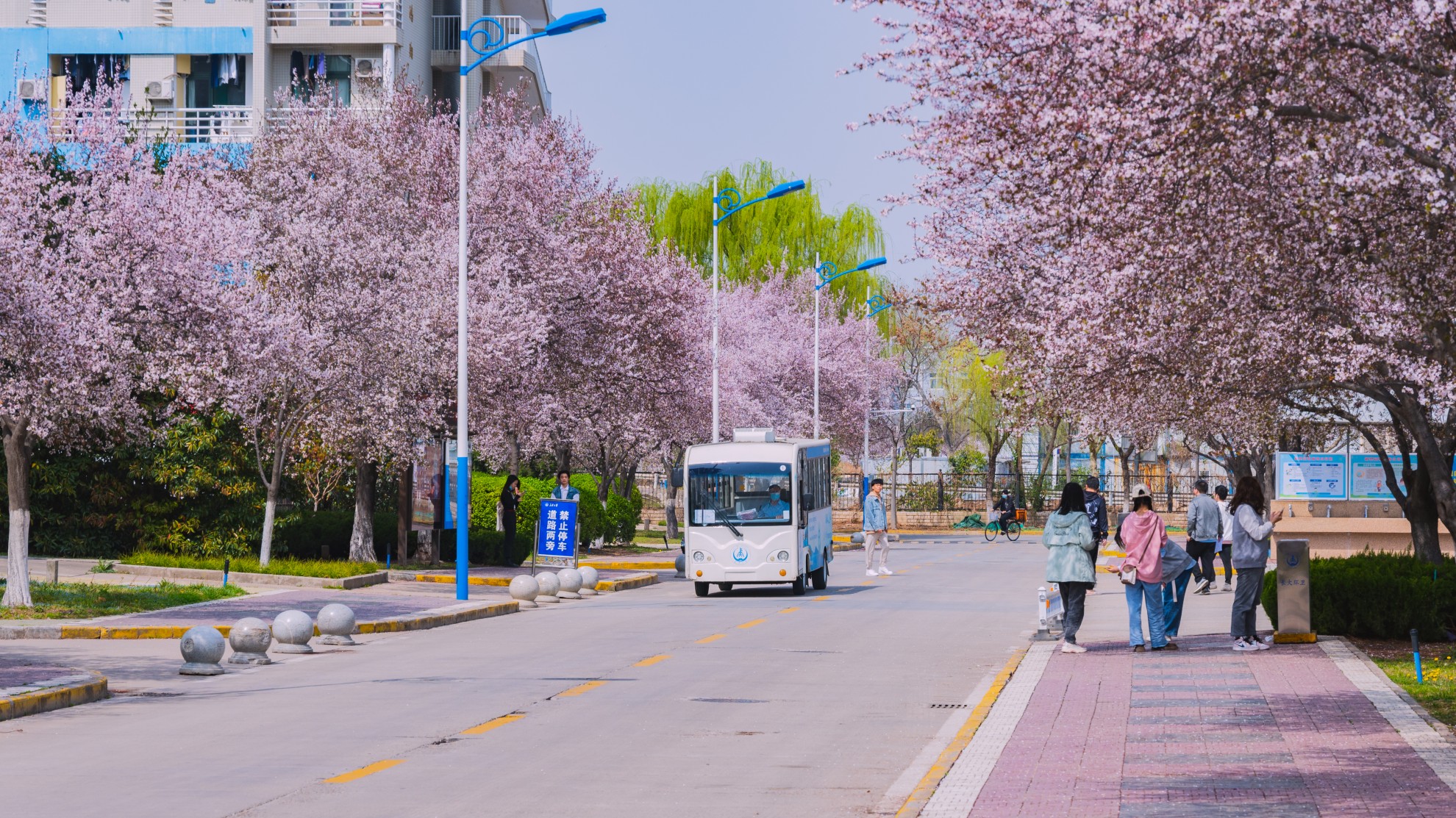 University campus gate with traditional Chinese architectural elements